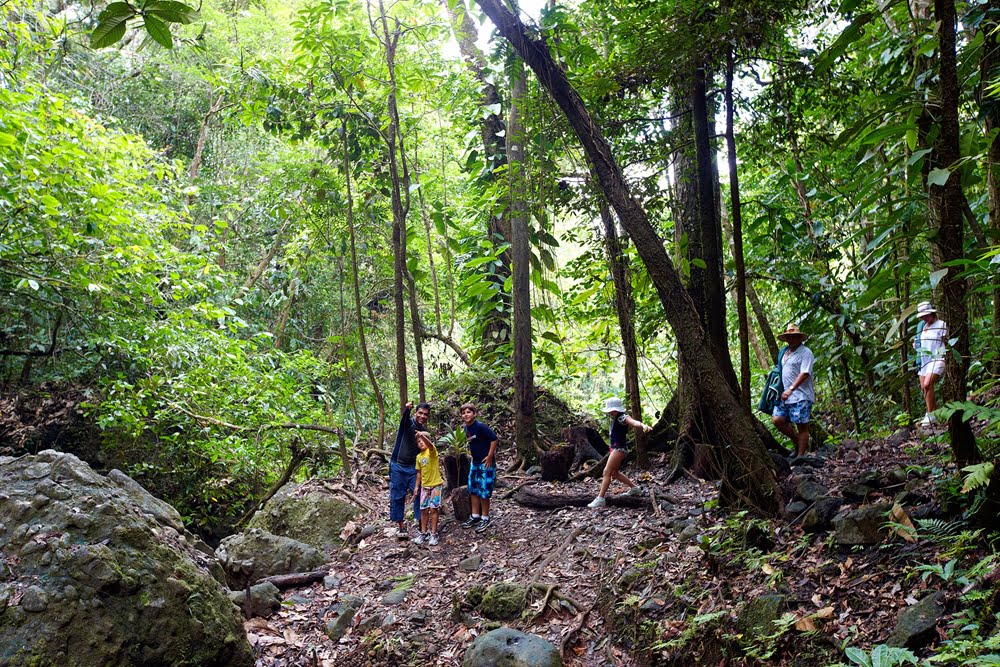 Top 5 Things To Do In Fiji For Nature Lovers