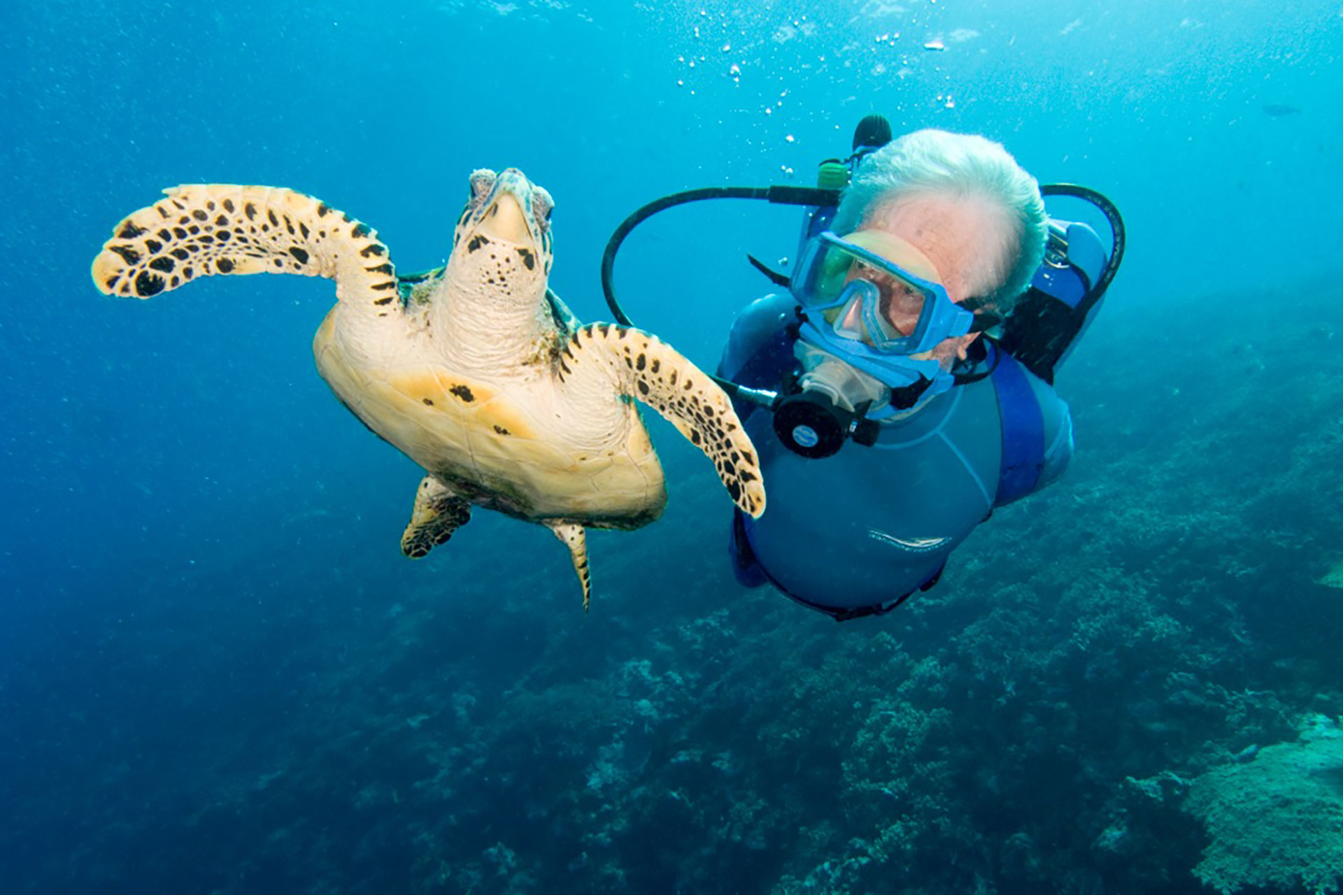 Diving-1-Cousteau-Dive-Centre-Fiji-Scuba-Diving